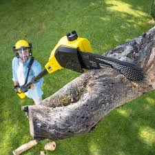 Best Tree and Shrub Care  in Dunnavant, AL